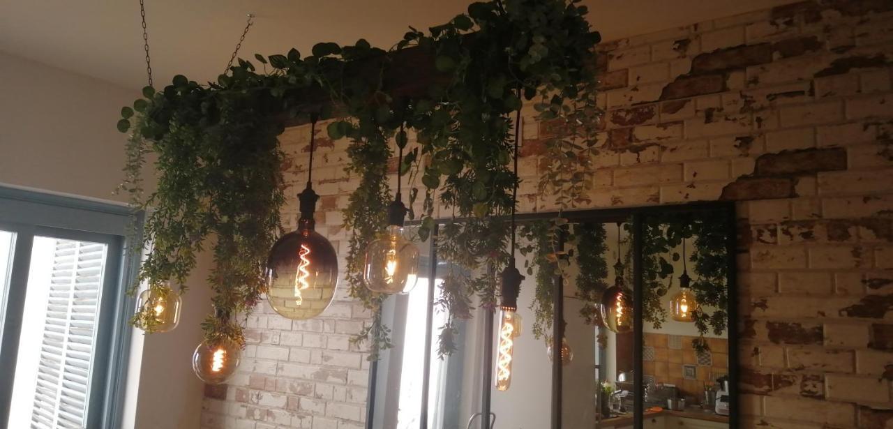 Oasis De Bornos Chambres Ngoại thất bức ảnh